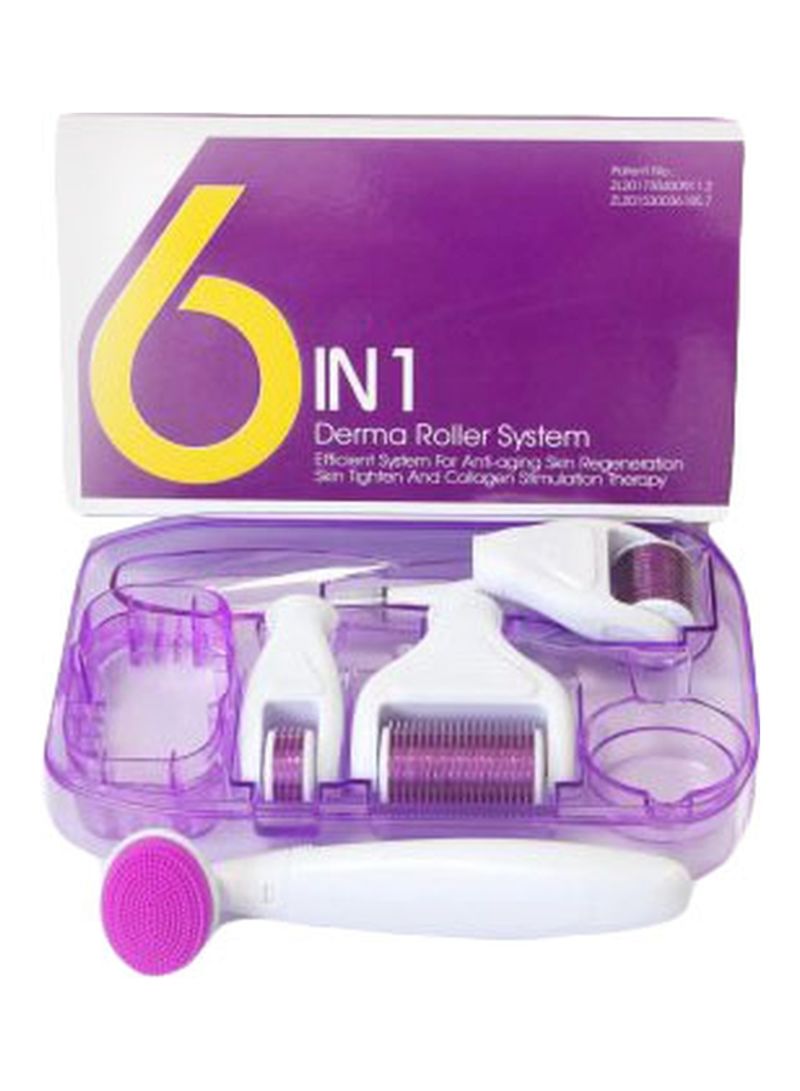Derma 0901 Roller 6 In 1 System