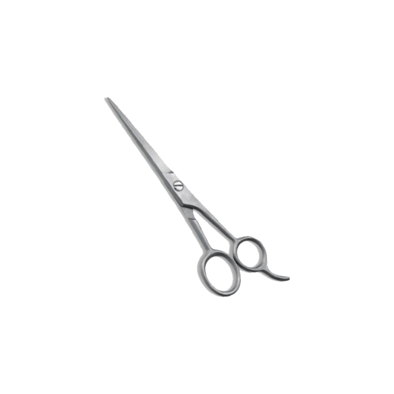 3W01-125 6'' Professional Razor Edge Scissor