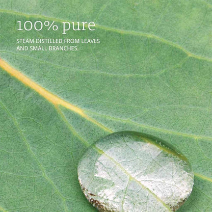 Now 100% Pure Eucalyptus Essential Oil, 30ml - Makkah Pharmacy