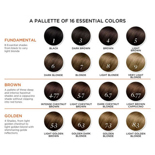 Phyto Paris Permanent Hair Color Kit Brown 4, 1 Pack