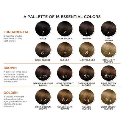 Phyto Paris Permanent Hair Color Kit Brown 4, 1 Pack