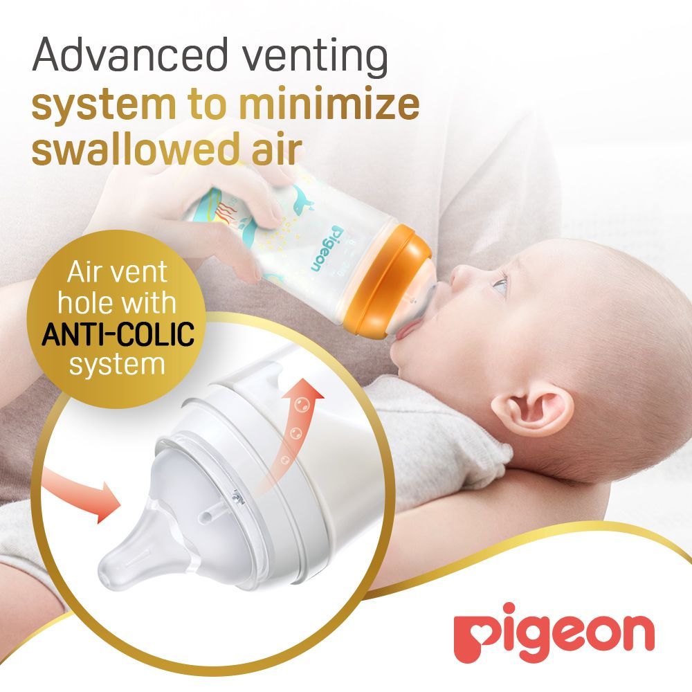 Pigeon SofTouch Green 240ml Anti-Colic Nursing Bottle (3+ Months), 1 Piece - Makkah Pharmacy