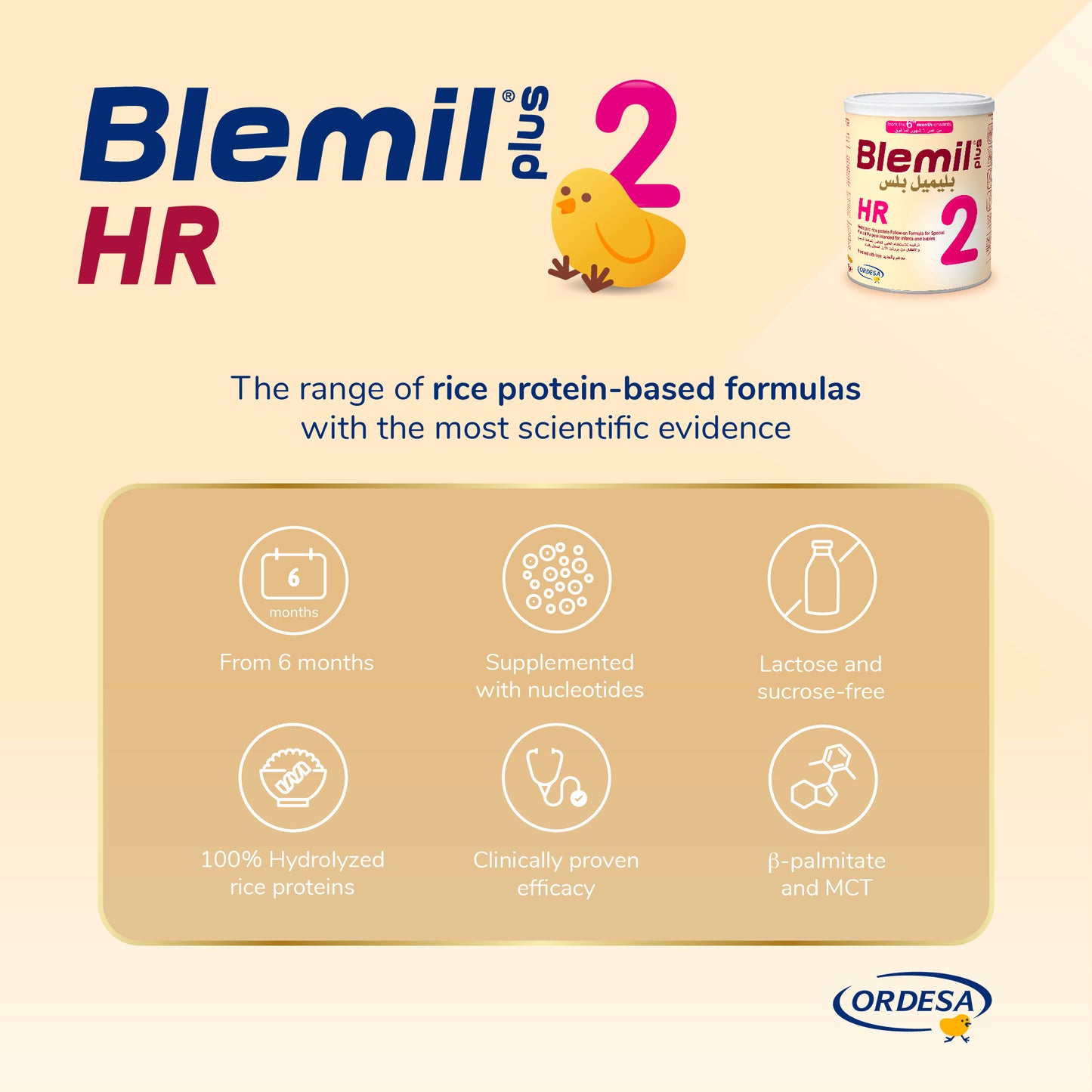 Blemil Plus 2HR Follow- on formula milk-400g