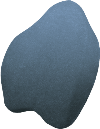 Orpedox Deluxe Memory Foam Back Support Cushion for Back & Sciatica Relief