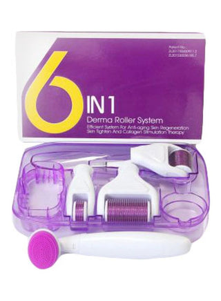 Derma 0901 Roller 6 In 1 System