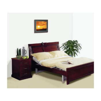 Electric Care Bed